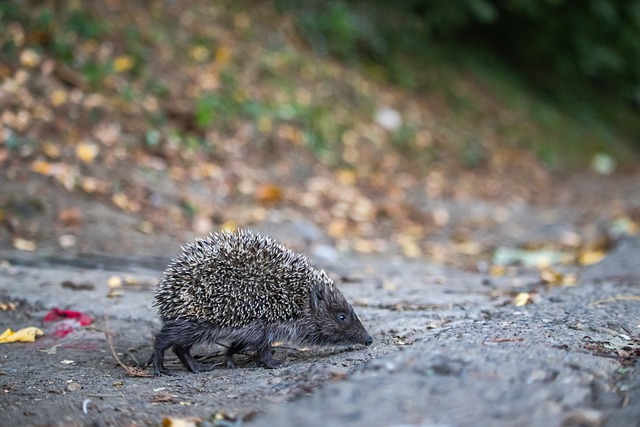 的情境为例 的情境为例