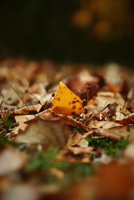 上总是能够 上总是能够