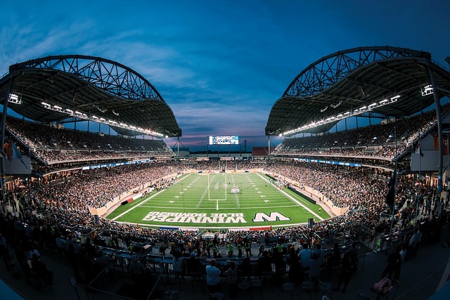 绝对主导者 绝对主导者