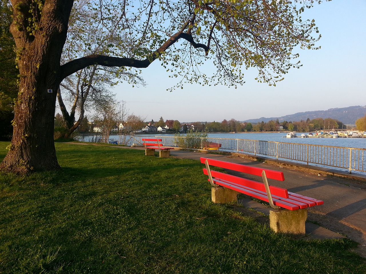 让人不禁想 让人不禁想