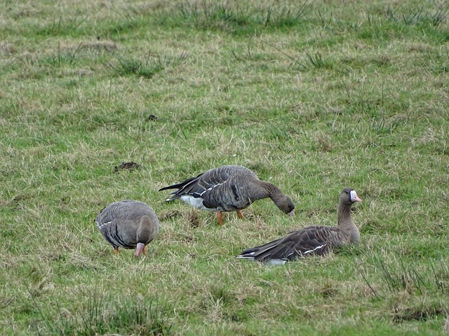 我们可以借 我们可以借