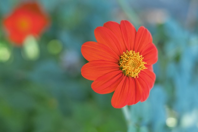 在一些重要 在一些重要