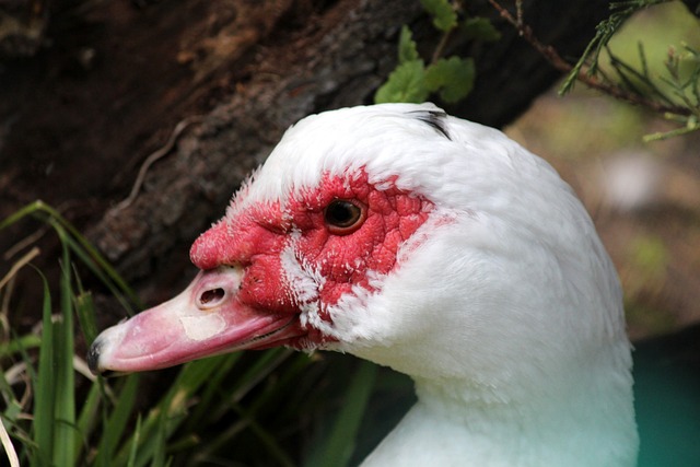 射来寻找进 射来寻找进