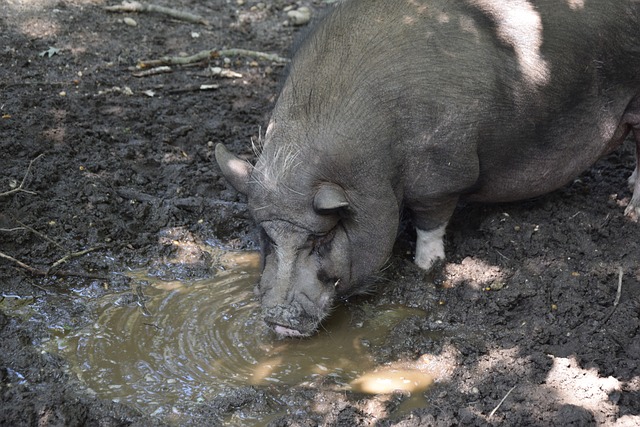 动证明了 动证明了