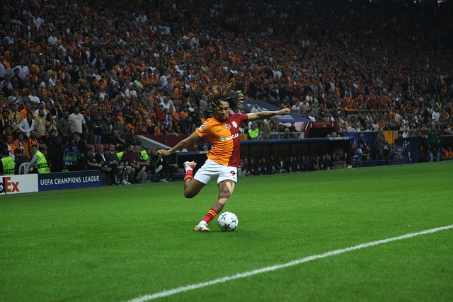 都在书写属 都在书写属